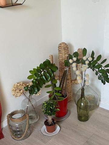 Studio A 15 Mn De Toulouse A Castelginest Экстерьер фото